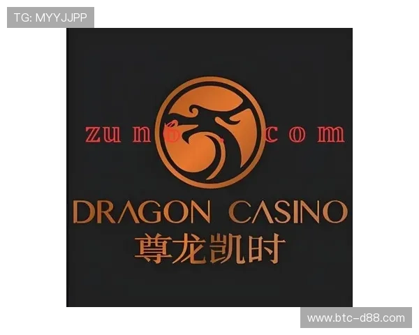 尊龙凯时在线官网安全可靠，保障玩家资金与个人信息安全，打造放心的线上娱乐体验